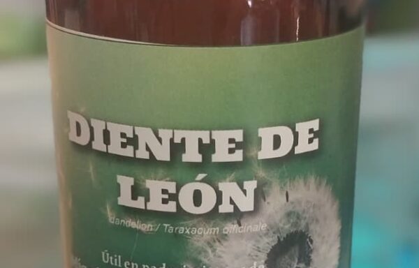 Diente de León