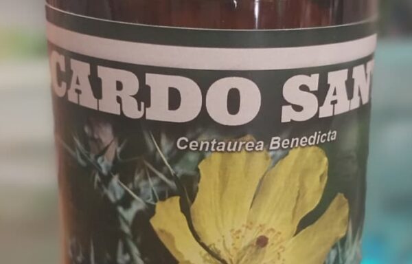 Cardo Santo