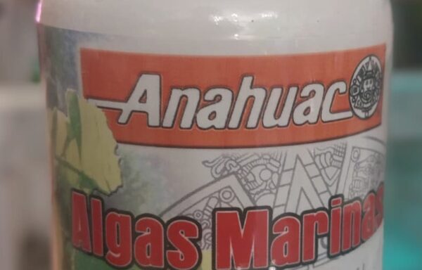 Algas Marinas Kelp